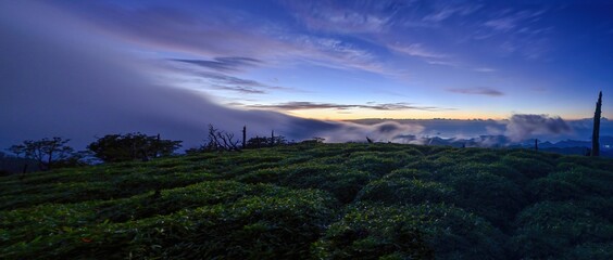 大台ヶ原山　正木峠から見た夜明け前の雲海と熊野灘のパノラマ情景＠奈良