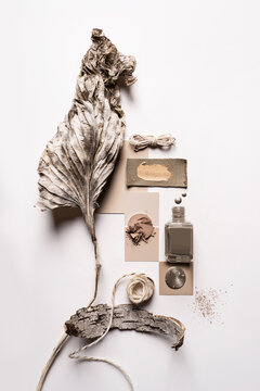Colour Palette Inspired by Nature in Cool Taupe