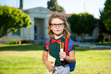 Naklejka premium Clever schoolboy in glasses with school bag and book in his hand. Back to school. Pupils portrait in school park.