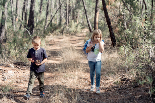 Kids walking through the forest with pine cones and a two-way ra