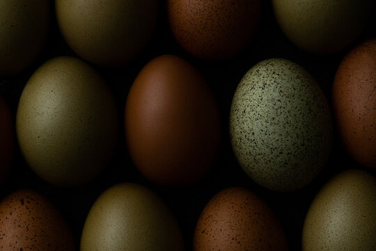 Green and brown eggs up close
