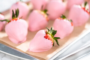 Chocolate dipped strawberries