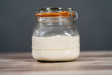 Sourdough starter