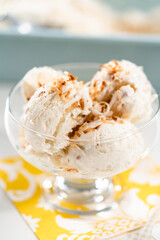 Coconut ice cream