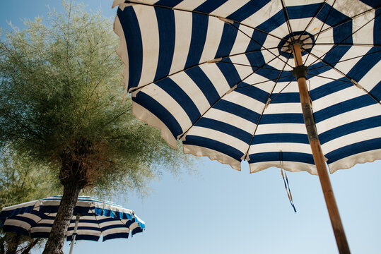 Looking up at umbrellas