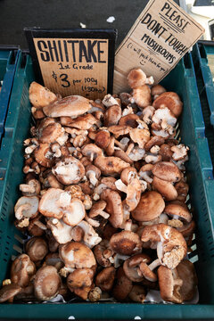 Shiitake mushrooms for sale at market