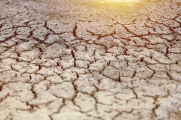 Fototapeta premium Desertification.