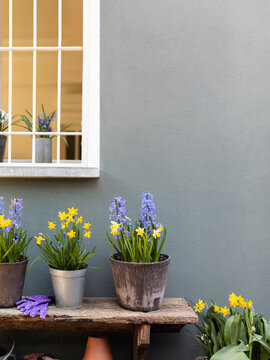 Spring flowers pots on bench