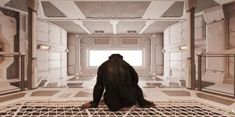Chimp in futuristic room