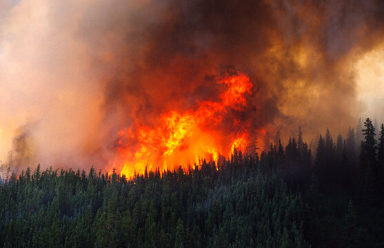 A forest fire in rural Saskatchewan.