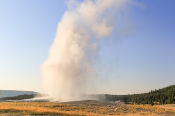 the Old Faithful Spring in Eruption in Yellowstone National Park, United States