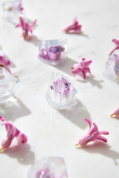 Closeup of ice cubes with purple flowers