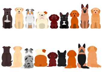 dogs sitting in a row, front and back
