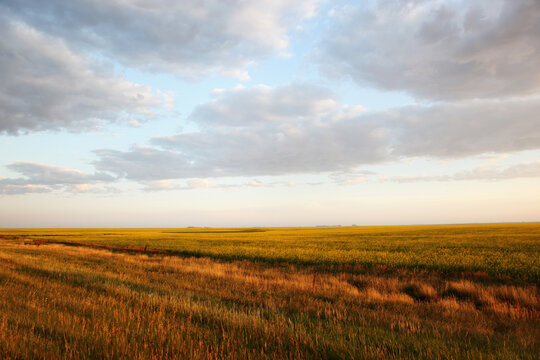 Early morning landscape of Saskatchewan