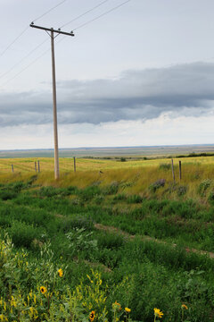 Prairie landscape with fields of wildflowers