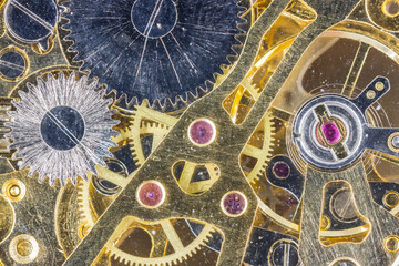 Internal Mechanism of a Watch