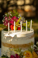 Bolo de aniversário, Birthday Cake