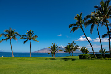 Tropical sea beach with sand, ocean, palm leaves, palm trees and blue sky. Summer beach background.