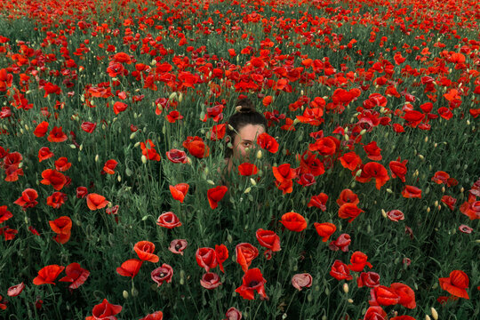 A woman in the red poppies field