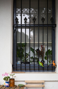 Dinosaur on bars of window
