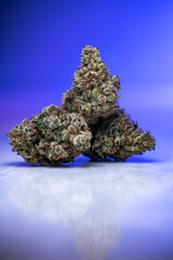 Cannabis Flower Macro - Strain: Gorilla Erotica
