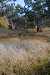 shades of orange river bed