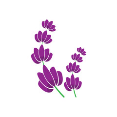 lavender flower icon design isolated on ehite background