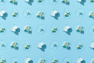 Pattern of ice cubes with white flowers