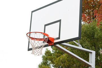 屋外のバスケットゴール