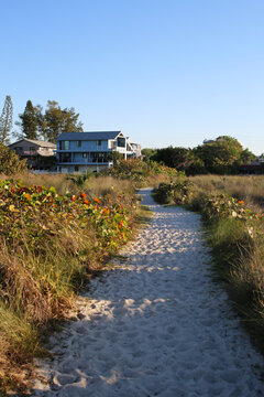 Florida Beach Access Path On A Clear Morning