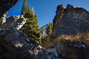 Pines Boulders Snow and Mountains