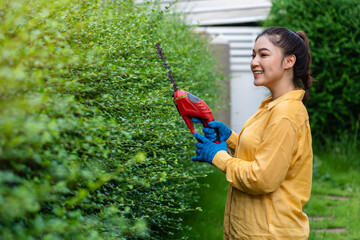 woman using  cordless electric hedge cutting and trimming plant in garden at home - obrazy, fototapety, plakaty