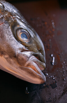 Head of raw fish on table