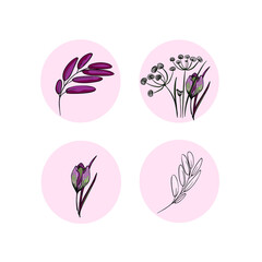 Vector illustration of a set of plant icons isolated. Leaves eco logo, icon, blank for designer