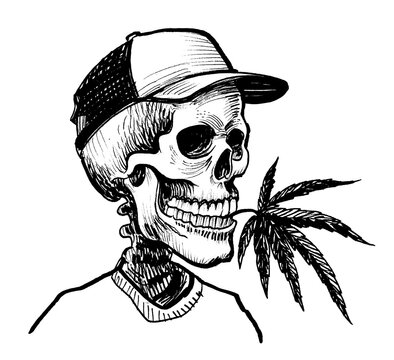 Human skeleton with a cannabis leaf. Ink black and white drawing
