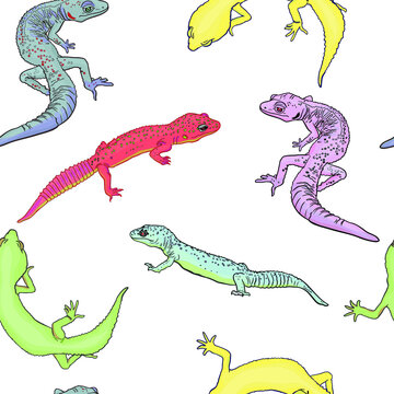 Seamless illustration of geckos, i am lizards. Pets pattern for printing on paper, clothing, tableware, bed, pet supplies, pet shops, baby clothes 