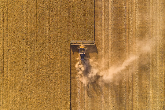 Dust blowing from a header harvesting a barley crop in Western Australia.