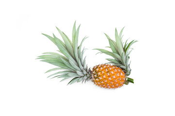 Fototapeta premium Pineapple with leaves isolated on white background.