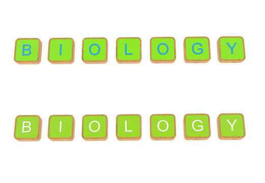 Biology 3D word. Rendered image of biology word from letter bricks. Biology banner