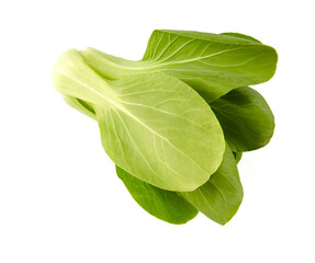 fresh pak choi cabbage isolated on white background