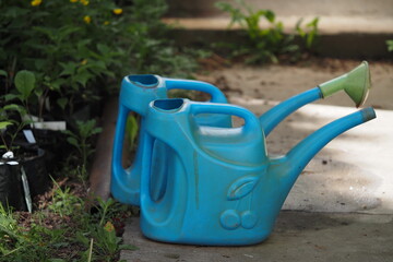 Watering cans in the garden. Gardening Tools. High quality photo