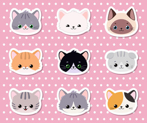 Set of stickers of cute cat faces on pink background. Cartoon flat style
