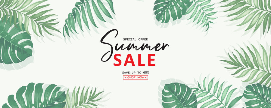Summer sale banner design with tropical leaves background