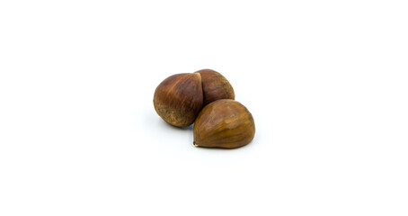 chestnut