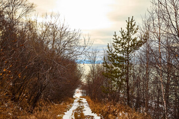 Nature landscape with dramatic sky and clouds, lake with ice, shore with snow and dark trees without leaves in cold winter or autumn day or evening