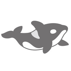 シャチ(オルカ)のイラスト