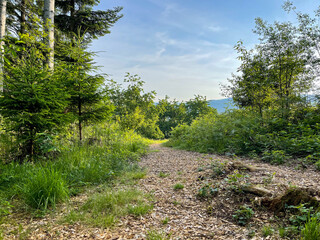 Camping im Schwarzwald