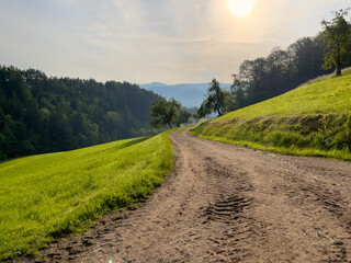Camping im Schwarzwald