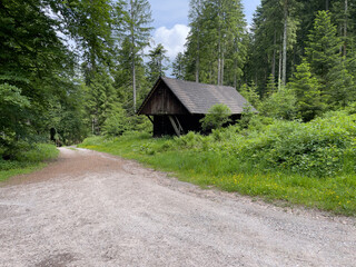 Fototapeta na wymiar Camping im Schwarzwald