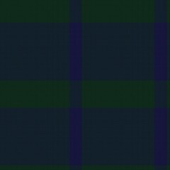 Obraz premium Green Asymmetric Plaid textured Seamless Pattern